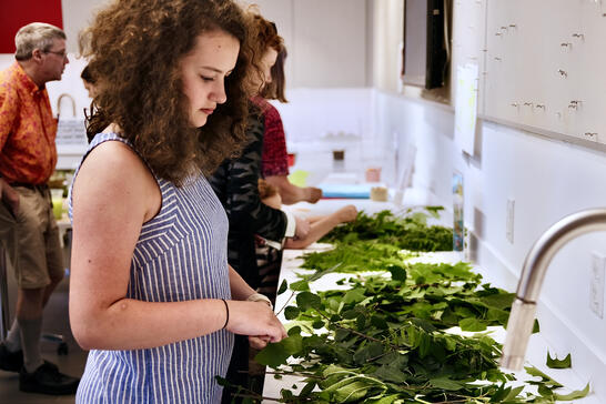 A young woman arranges green leaves on a table in a bright room with others working beside her.