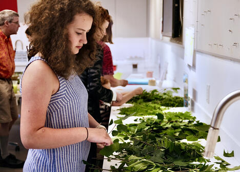 A young woman arranges green leaves on a table in a bright room with others working beside her.