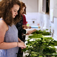 A young woman arranges green leaves on a table in a bright room with others working beside her.
