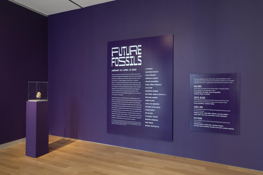 アート・デザイン・音楽 Embarrassment of Riches : Photographs CFHILL — Ikeorah Chisom Chi-FADA