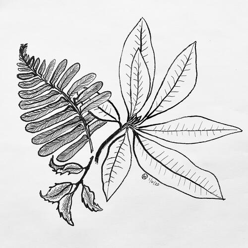 Drawing_Together_Earth_Day_1