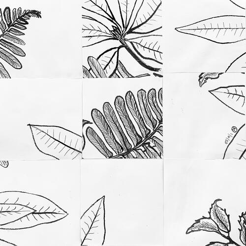 Drawing_Together_Earth_Day_2