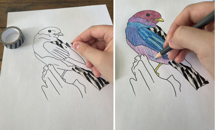 Two photographs of a person coloring in and decorating their bluebird.