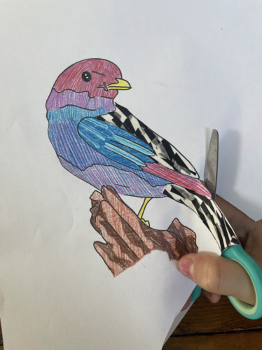Drawing of a bluebird colored in with pinks and purples