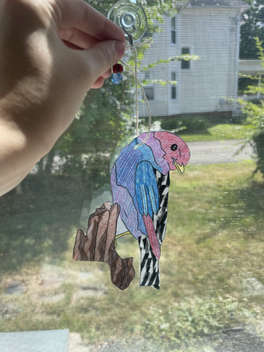 Someone hanging their bluebird artwork in a window